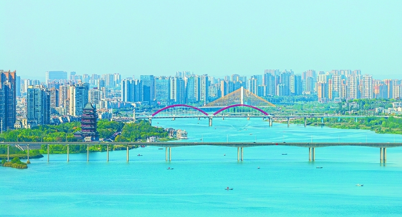 26010.jpg
